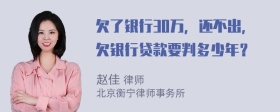 欠了银行30万，还不出，欠银行贷款要判多少年？