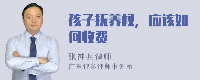 孩子抚养权，应该如何收费