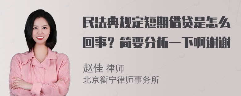 民法典规定短期借贷是怎么回事？简要分析一下啊谢谢