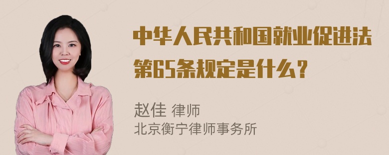 中华人民共和国就业促进法第65条规定是什么？