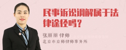 民事诉讼调解属于法律途径吗？