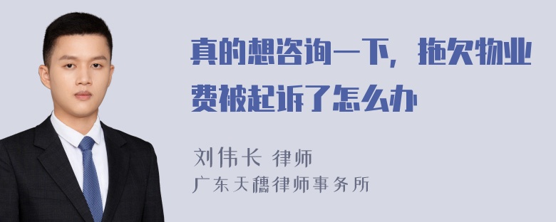 真的想咨询一下，拖欠物业费被起诉了怎么办