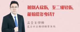 被别人砍伤，至二级轻伤，能赔偿多少钱？