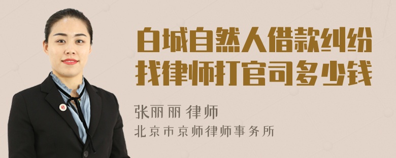 白城自然人借款纠纷找律师打官司多少钱