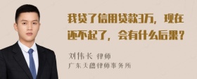 我贷了信用贷款3万，现在还不起了，会有什么后果？