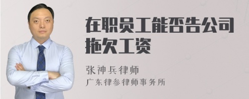 在职员工能否告公司拖欠工资