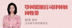 鄂州婚姻官司律师如何收费