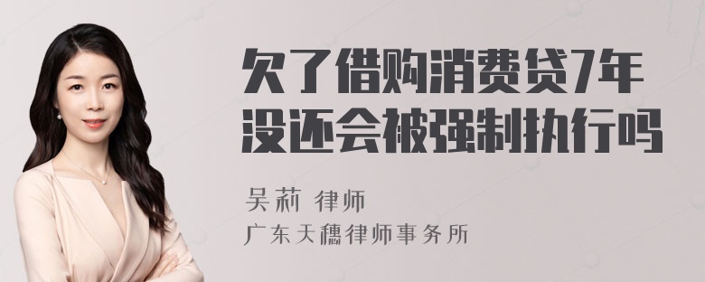 欠了借购消费贷7年没还会被强制执行吗