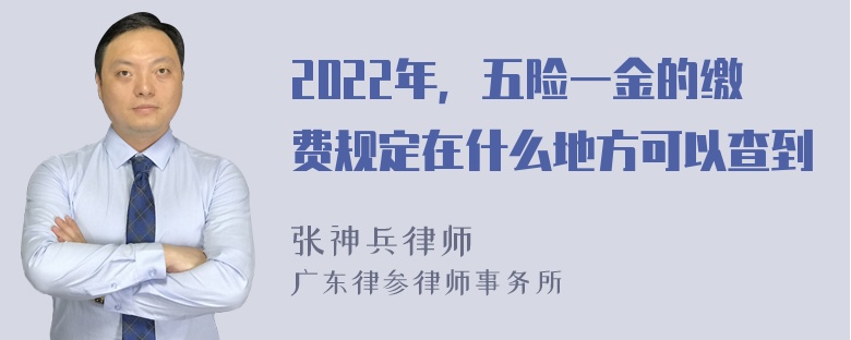 2022年，五险一金的缴费规定在什么地方可以查到