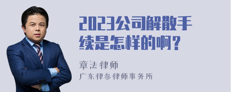 2023公司解散手续是怎样的啊？