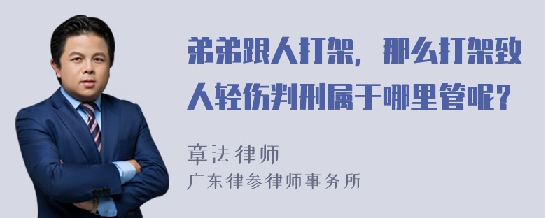 弟弟跟人打架，那么打架致人轻伤判刑属于哪里管呢？