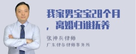 我家男宝宝28个月，离婚归谁抚养