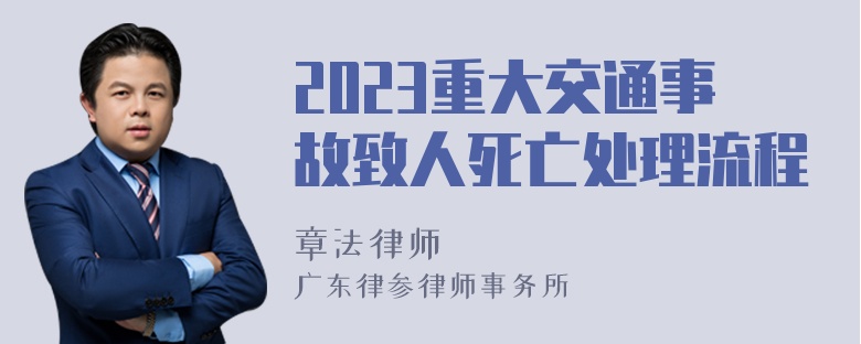 2023重大交通事故致人死亡处理流程