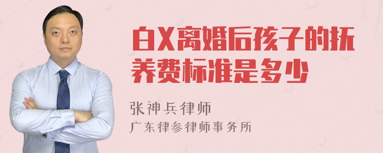 白X离婚后孩子的抚养费标准是多少