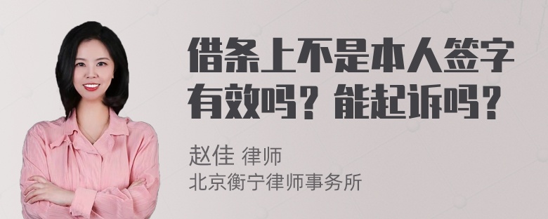 借条上不是本人签字有效吗？能起诉吗？