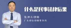 什么是民事法律后果