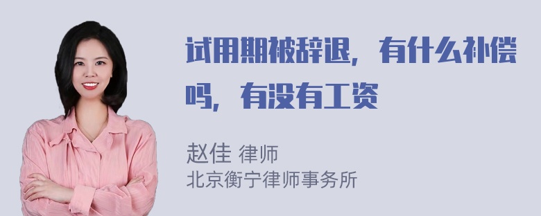 试用期被辞退，有什么补偿吗，有没有工资