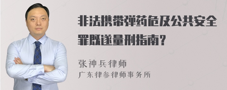 非法携带弹药危及公共安全罪既遂量刑指南？