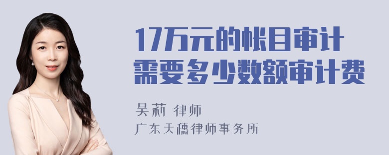 17万元的帐目审计需要多少数额审计费