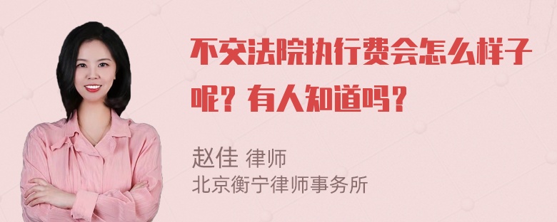 不交法院执行费会怎么样子呢？有人知道吗？