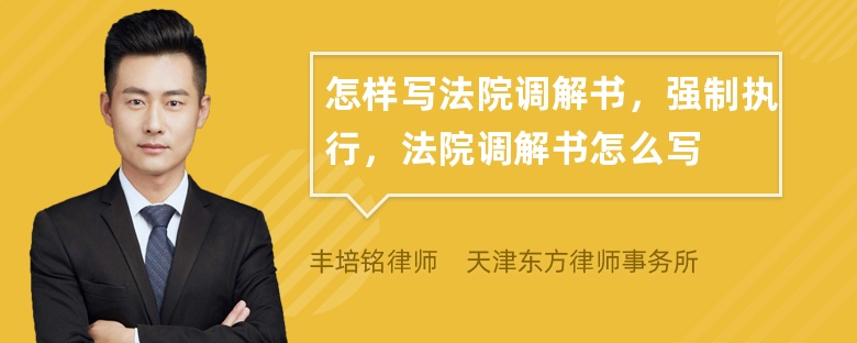 怎样写法院调解书，强制执行，法院调解书怎么写