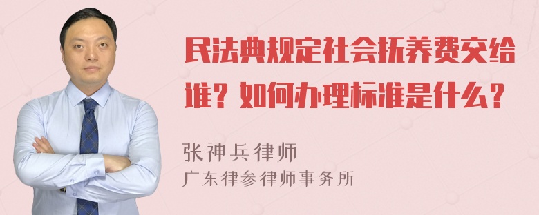 民法典规定社会抚养费交给谁？如何办理标准是什么？