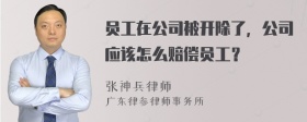 员工在公司被开除了，公司应该怎么赔偿员工？