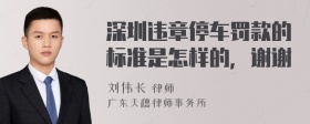 深圳违章停车罚款的标准是怎样的，谢谢