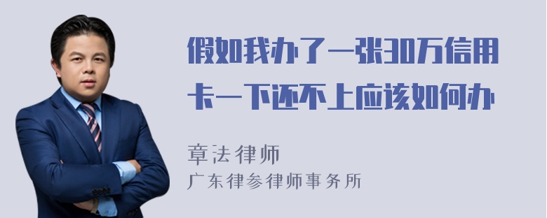 假如我办了一张30万信用卡一下还不上应该如何办