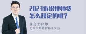 2023诉讼律师费怎么规定的呢？