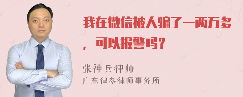 我在微信被人骗了一两万多，可以报警吗？