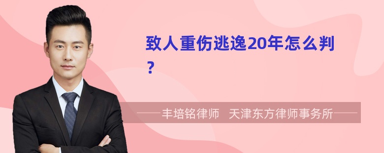 致人重伤逃逸20年怎么判？