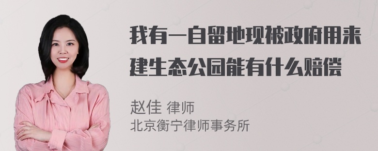 我有一自留地现被政府用来建生态公园能有什么赔偿