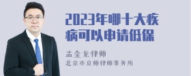 2023年哪十大疾病可以申请低保