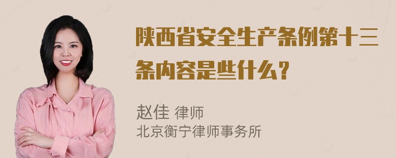 陕西省安全生产条例第十三条内容是些什么？