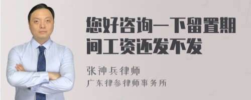 您好咨询一下留置期间工资还发不发