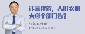 违章建筑，占用农田去哪个部门告？