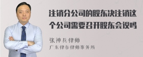 注销分公司的股东决注销这个公司需要召开股东会议吗