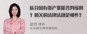 私分国有资产罪能否判缓刑？相关的法律法规是哪些？