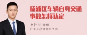 杨浦区车辆自身交通事故怎样认定