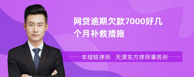 网贷逾期欠款7000好几个月补救措施