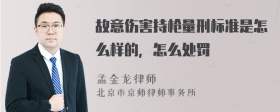 故意伤害持枪量刑标准是怎么样的，怎么处罚