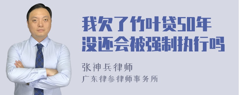 我欠了竹叶贷50年没还会被强制执行吗