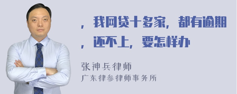 ，我网贷十多家，都有逾期，还不上，要怎样办