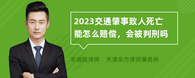 2023交通肇事致人死亡能怎么赔偿，会被判刑吗