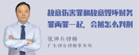 故意伤害罪和故意毁坏财务罪两罪一起，会被怎么判刑