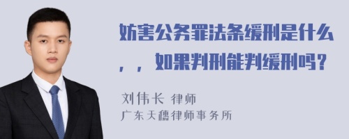 妨害公务罪法条缓刑是什么，，如果判刑能判缓刑吗？