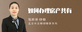 如何办理房产共有