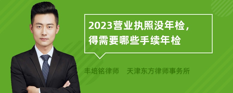 2023营业执照没年检，得需要哪些手续年检