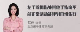 左手除拇指外其他手指均不能正常活动能评到几级伤残